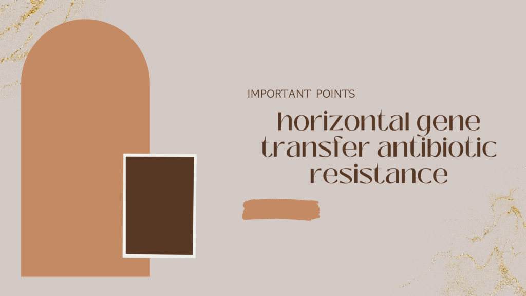 horizontal gene transfer antibiotic resistance | Important Points