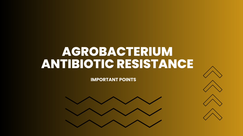 agrobacterium antibiotic resistance | Important Points