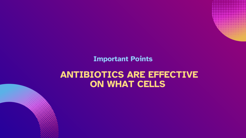 Antibiotics are effective on what cells | Important Points