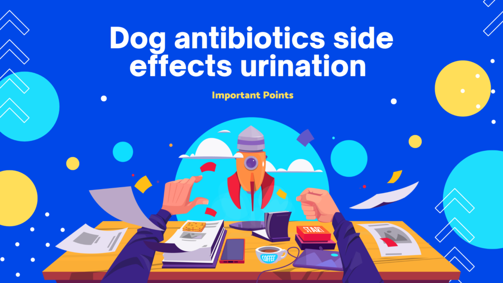 dog antibiotics side effects urination | Important Points
