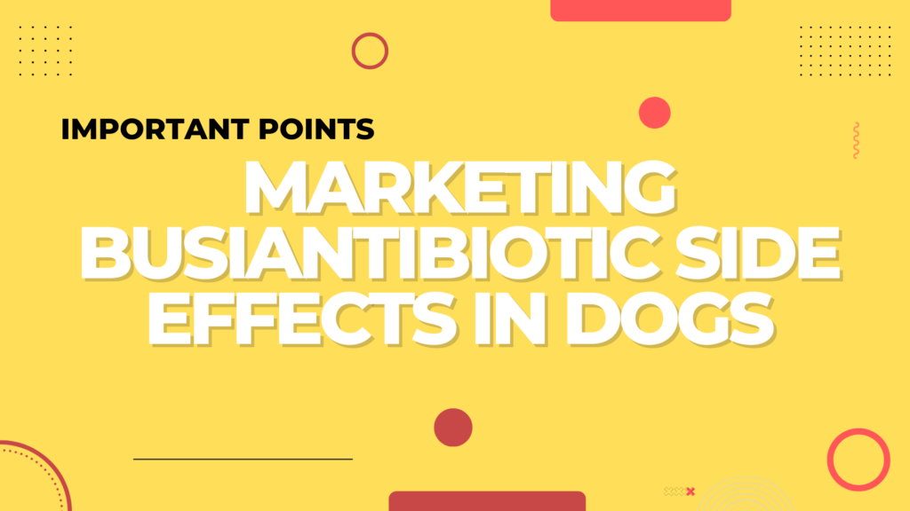 Antibiotic side effects in dogs | Important Points