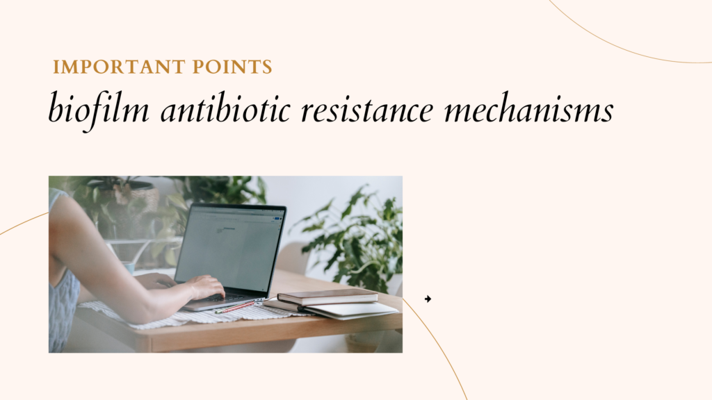 biofilm antibiotic resistance mechanisms | Important Points