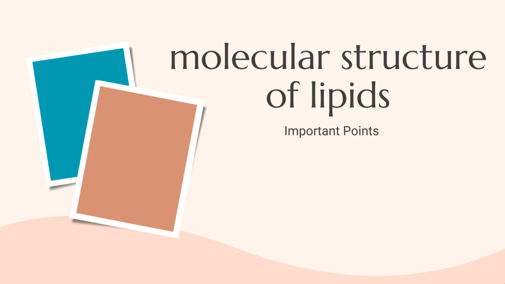 molecular structure of lipids | Important Points