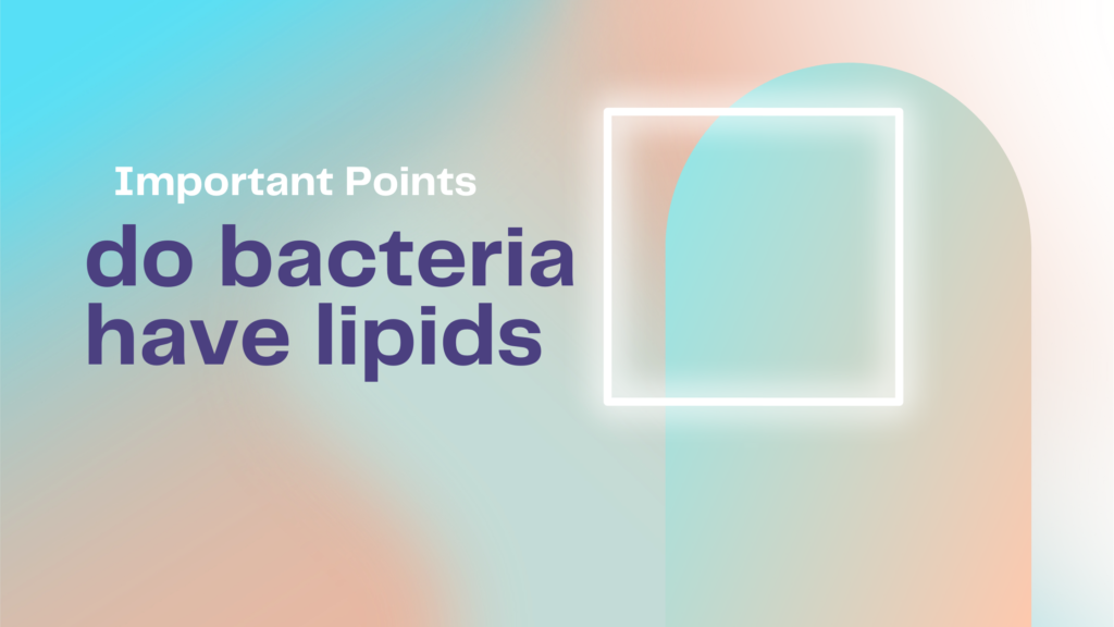 do bacteria have lipids | Important Points