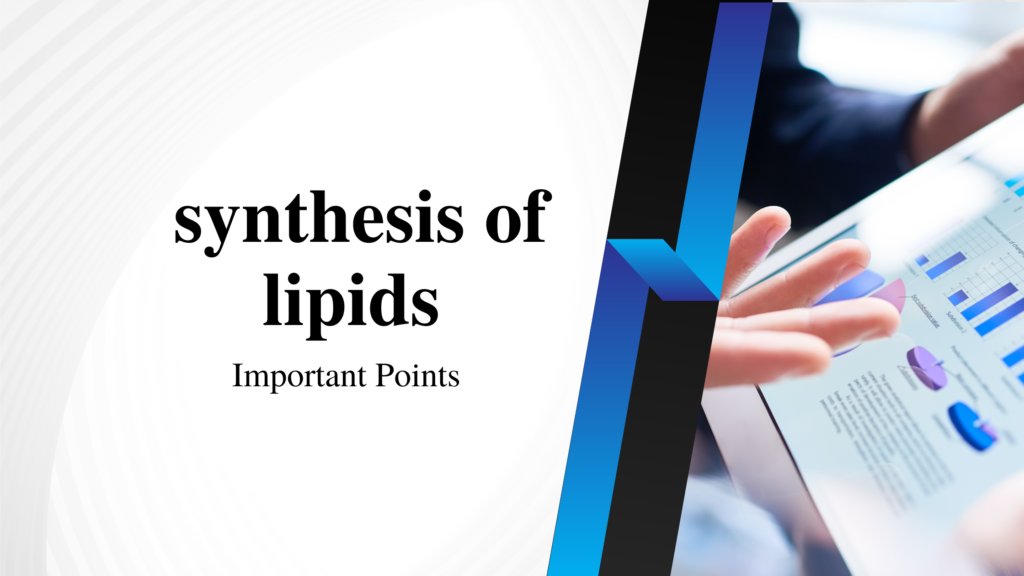 synthesis of lipids | Important Points