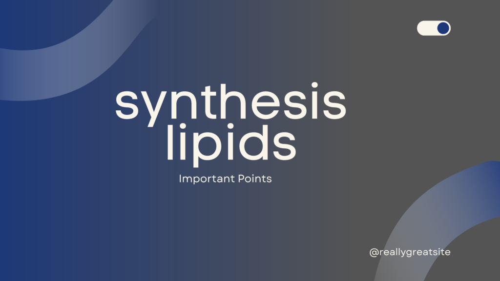 synthesis lipids | Important Points