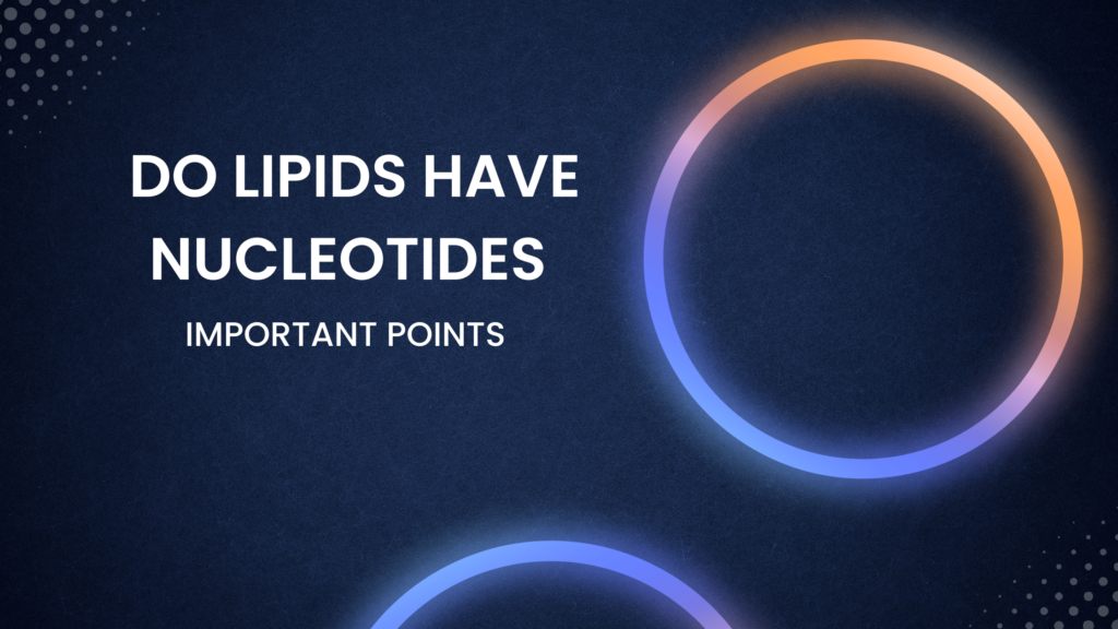 do lipids have nucleotides | Important Points