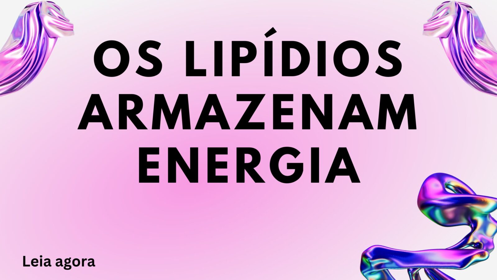 os lipídios armazenam energia