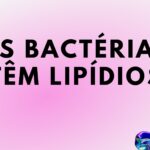 as bactérias têm lipídios